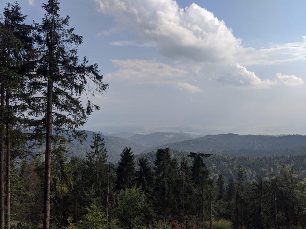 Turbacz