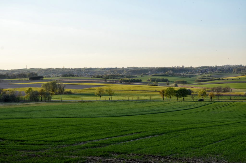 kajasówka