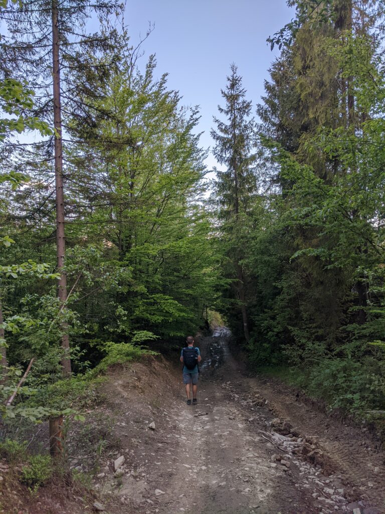 turbacz