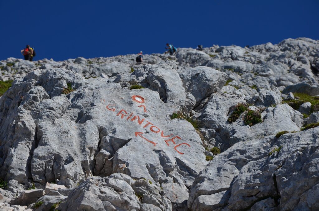 Grintovec