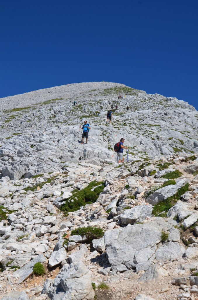 Grintovec
