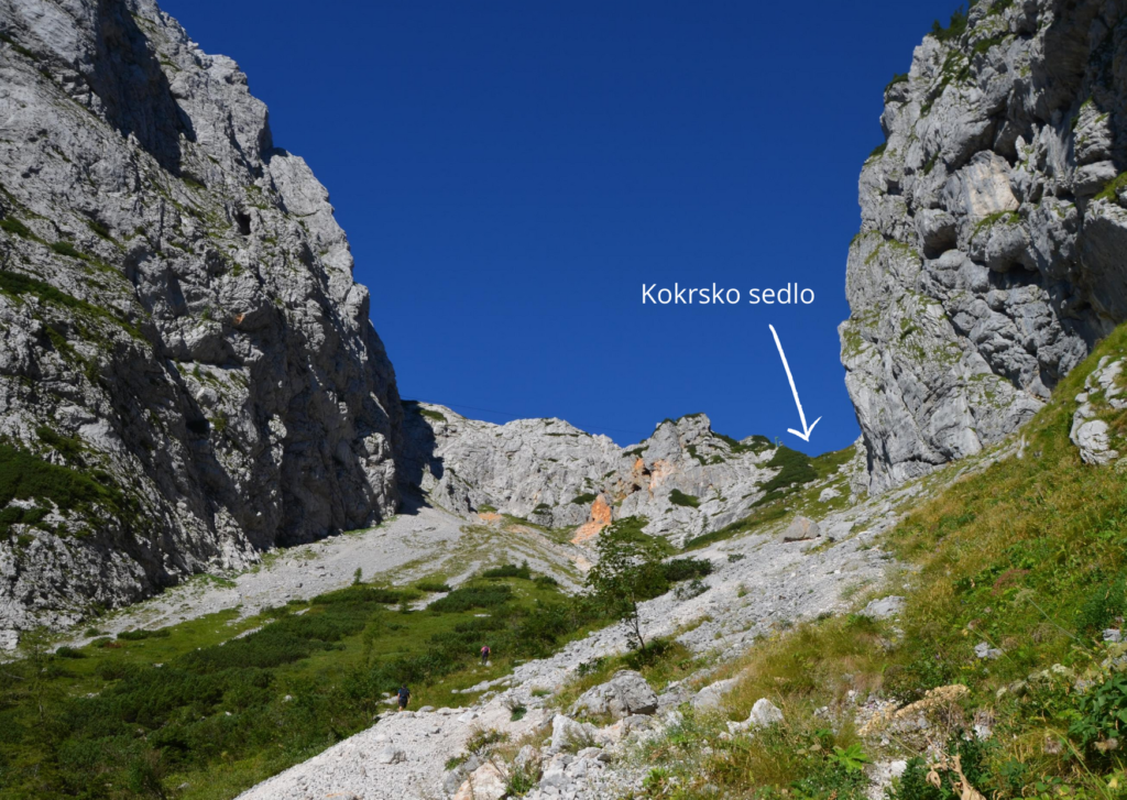Grintovec