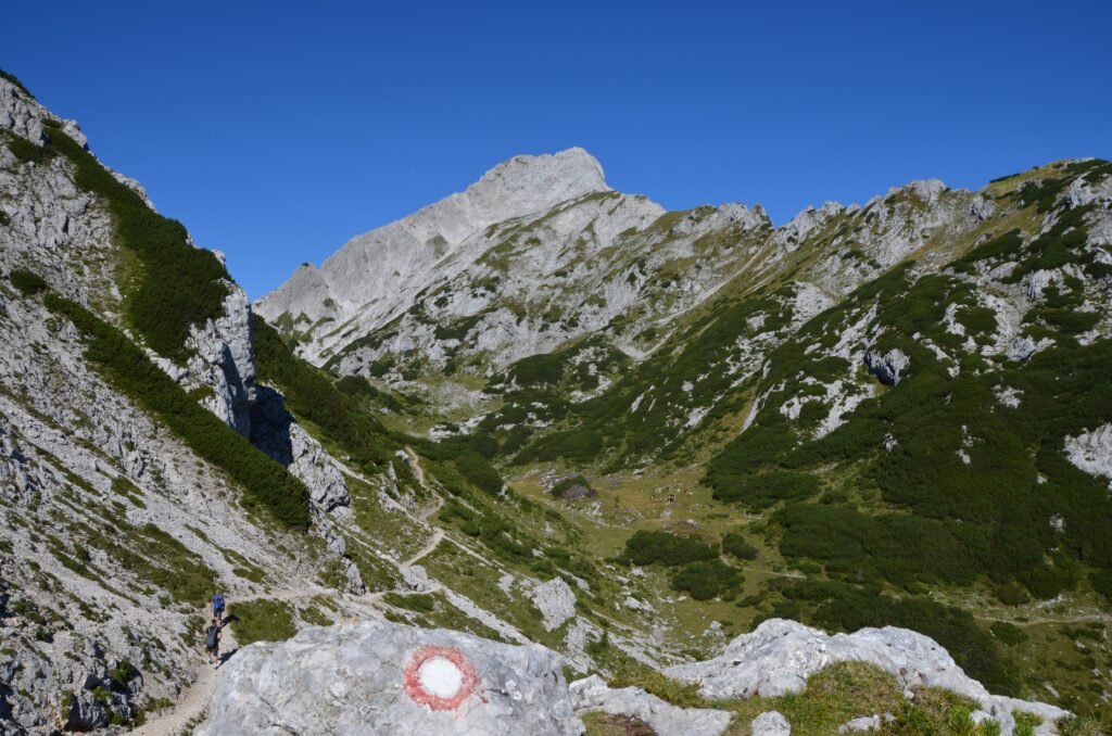 Ojstrica
