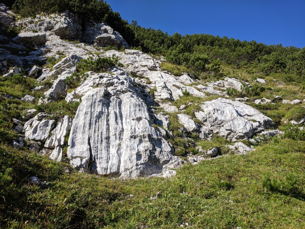 Ojstrica