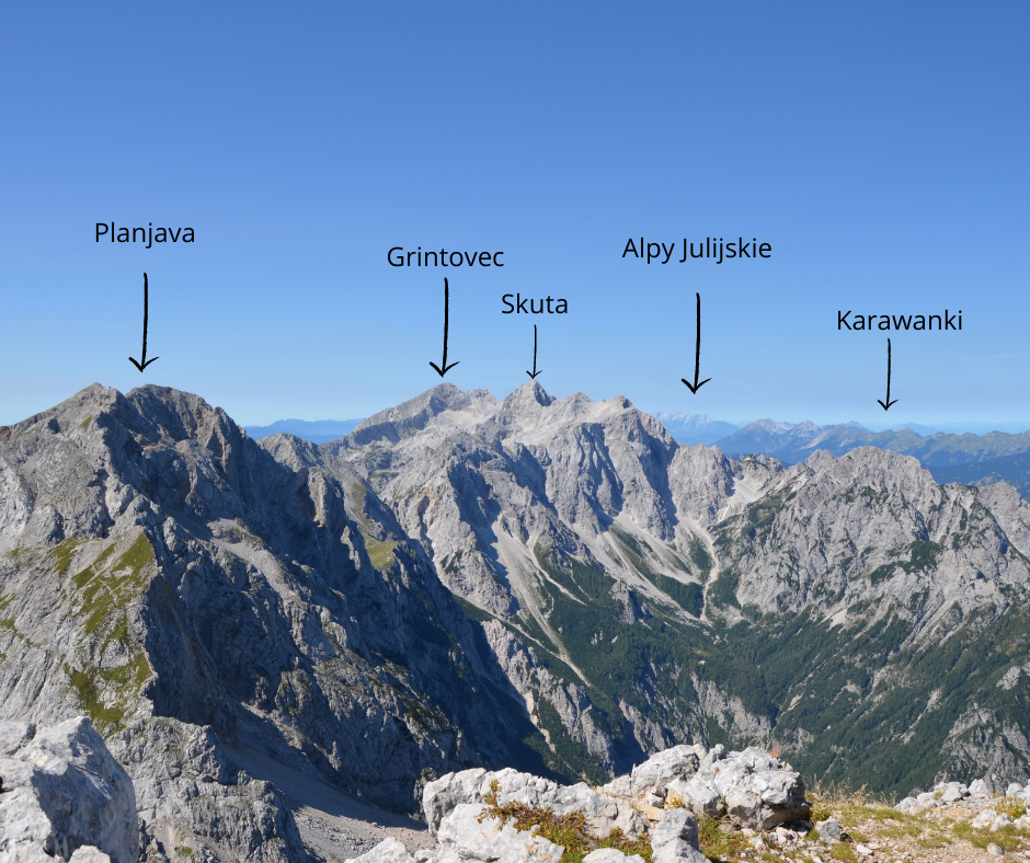ojstrica