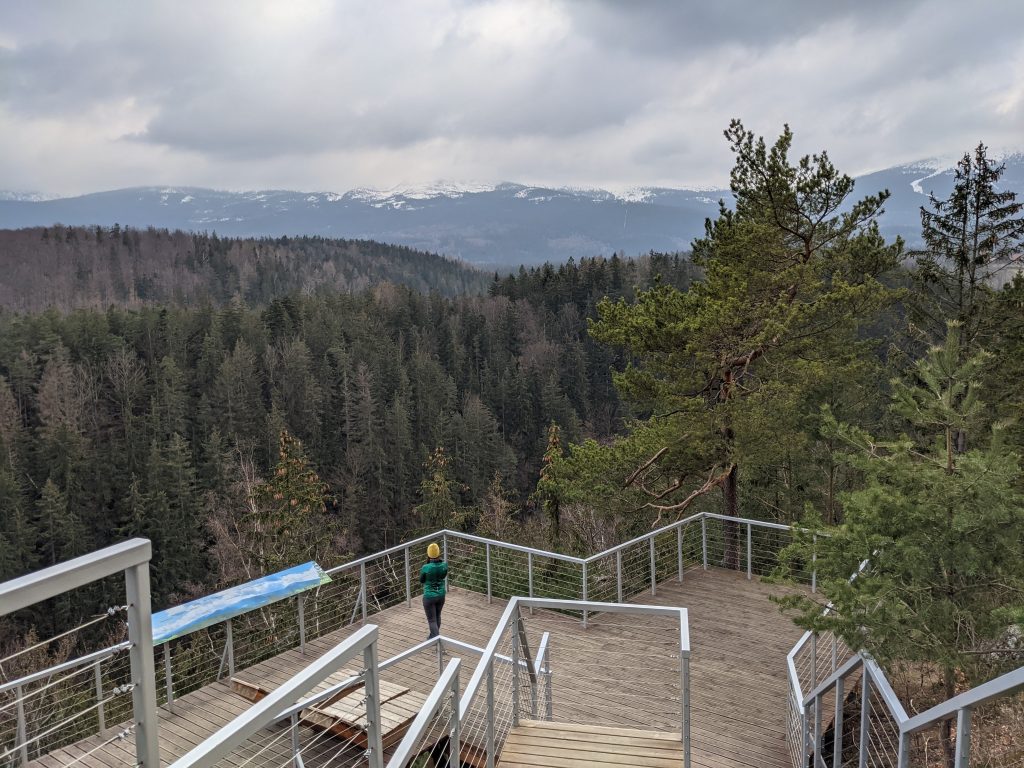 Złoty Widok