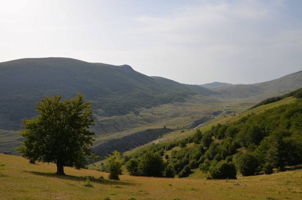 Lukomir