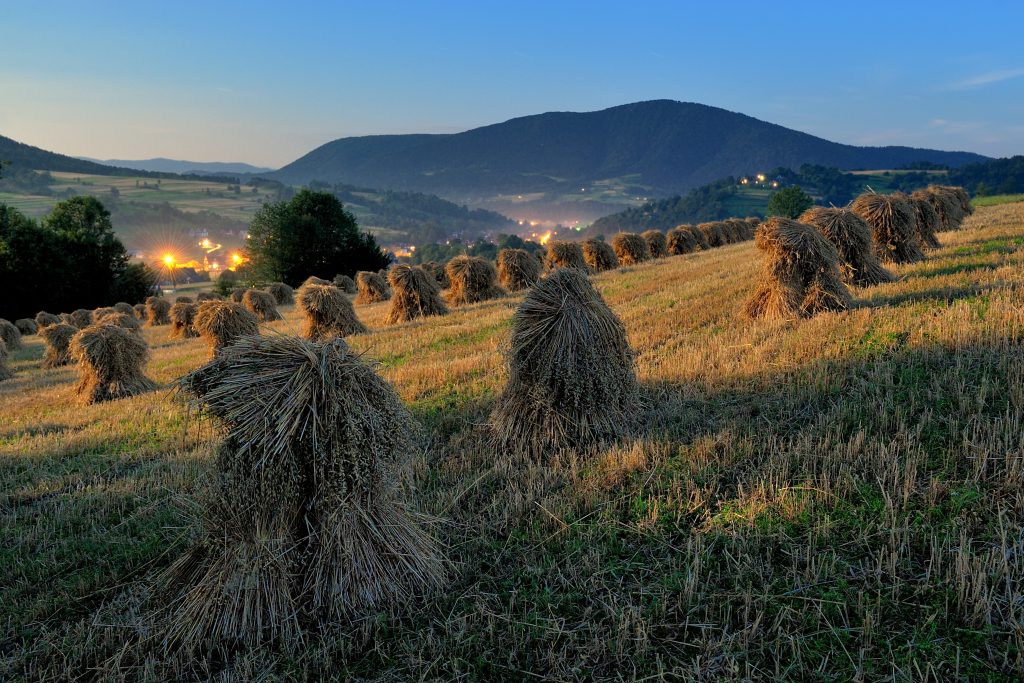 Zagórzańskie Dziedziny