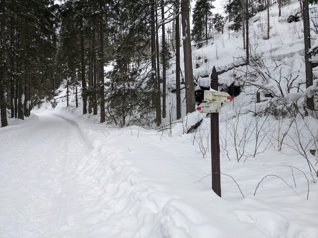 Hala Gąsienicowa