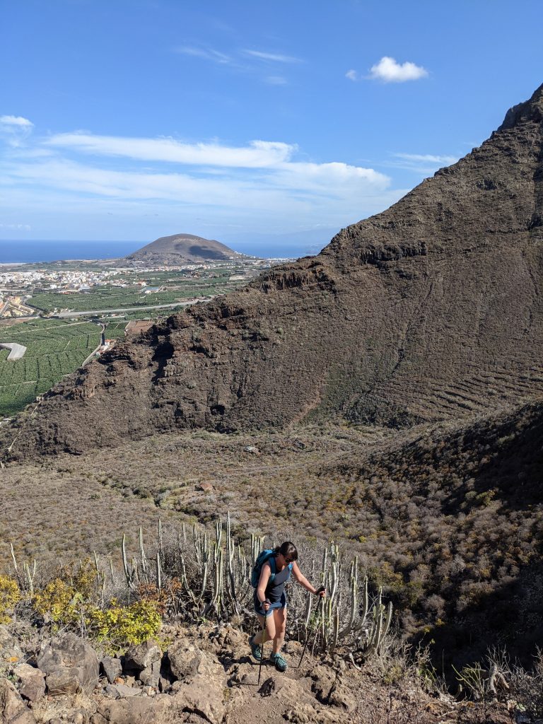 Punta de Teno