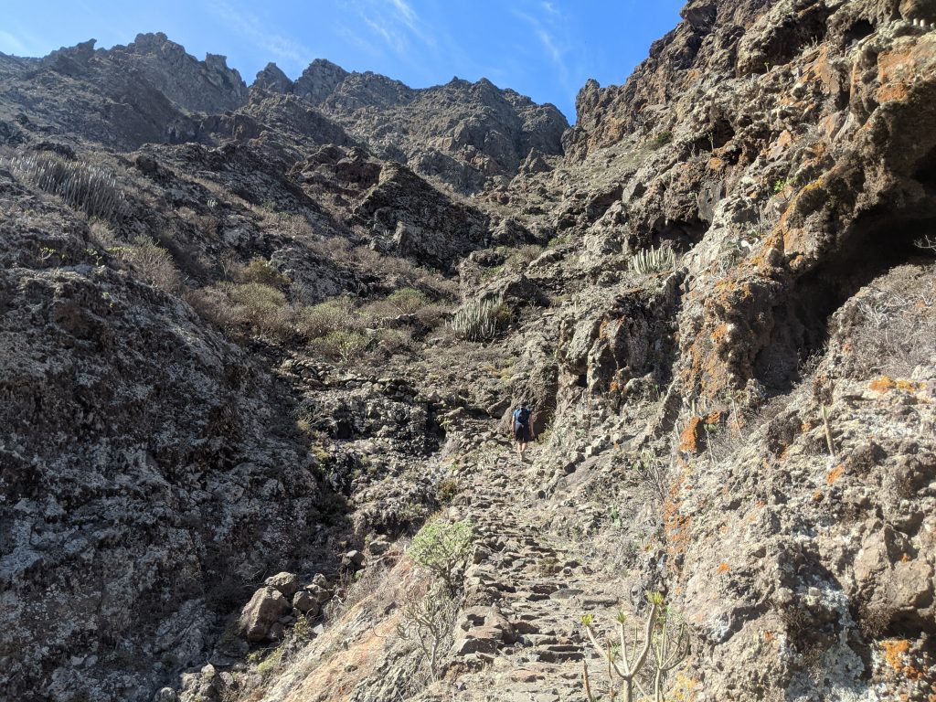 Punta de Teno