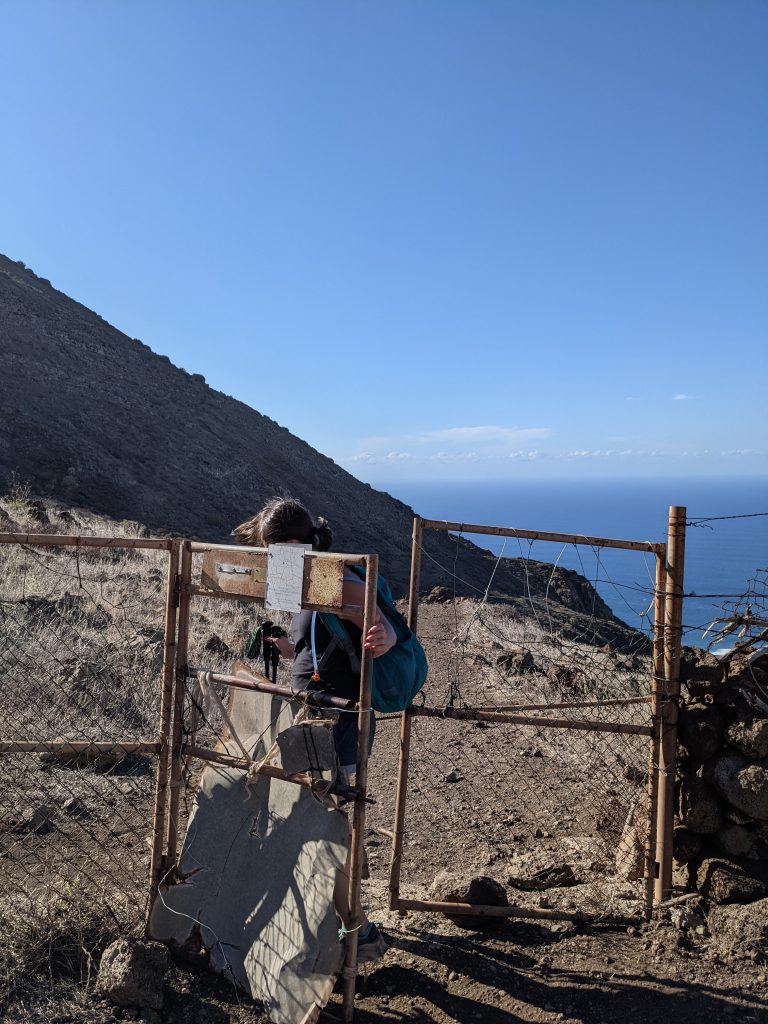Punta de Teno