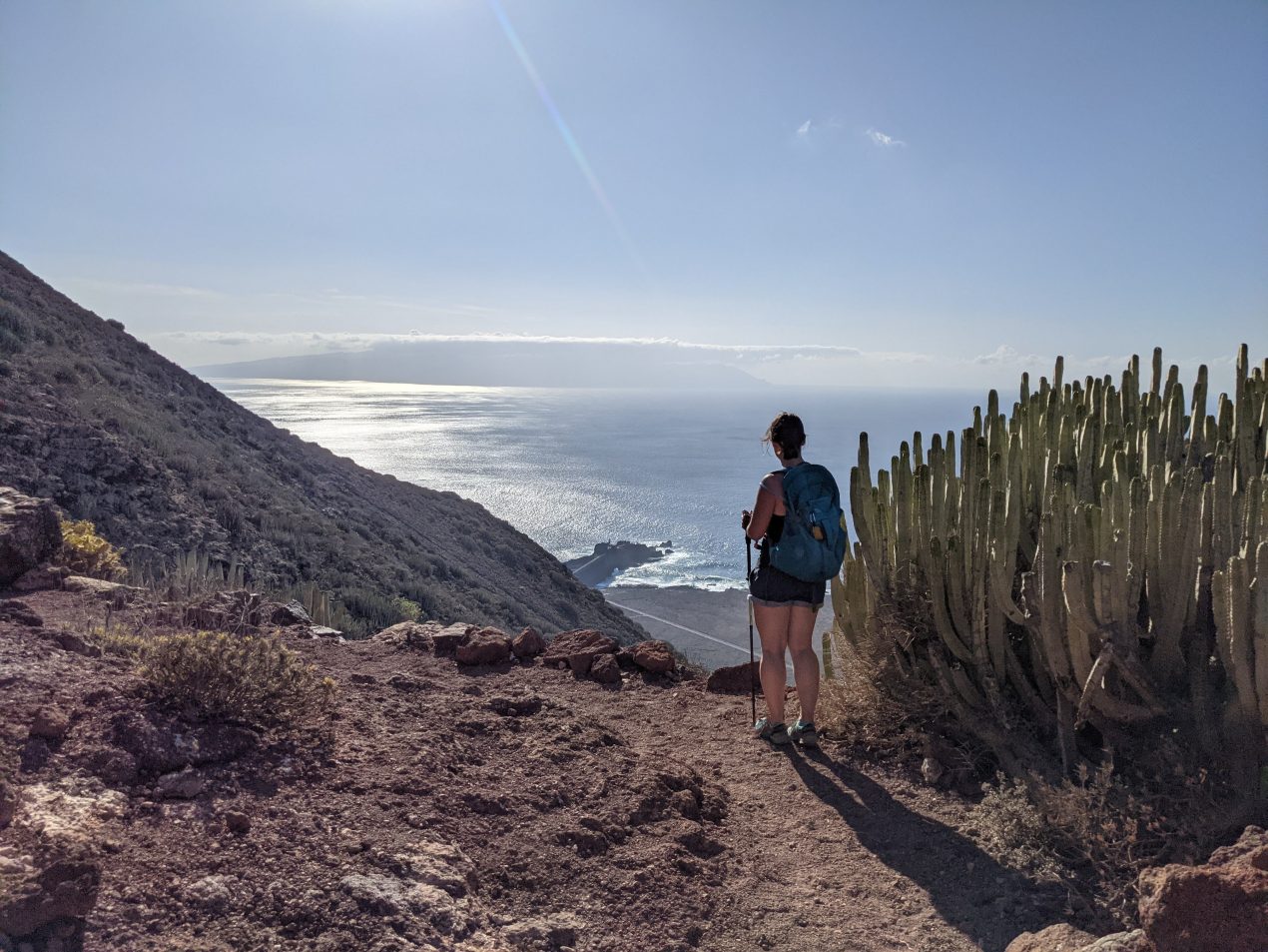 Punta de Teno